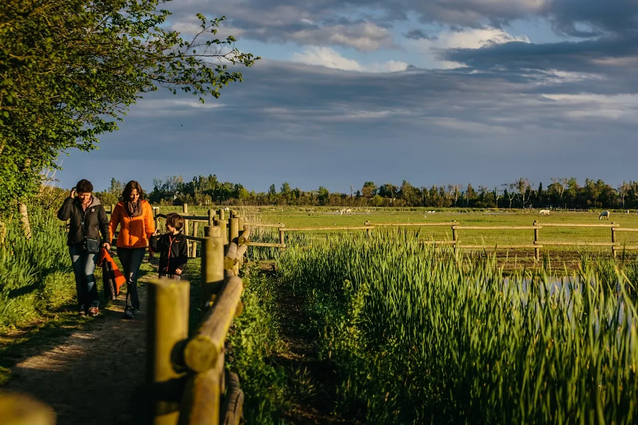 Oiseaux dans une réserve naturelle