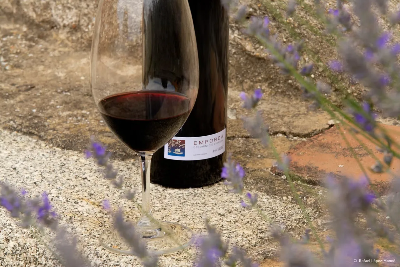 Vins et vignobles de l'Empordà